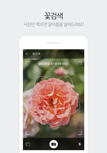 다음-꽃-검색